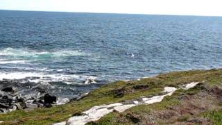 preview picture of video 'Hiking Trails of Nova Scotia - Taylor Head Provincial Park'