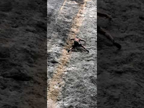 Galactic Emperor 5.14a (Ten Sleep, WY)