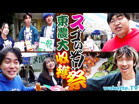（共通） 【日本一うまいッ！学園祭】味噌も蜂蜜もジビエまで学生の手作り！？東京農業大学 収穫祭を楽しもう！！【wakatte TV】#1333