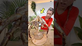 Download lagu I Found THIS in my Fish Tank 🦀 mp3 Download lagu I Found THIS in my Fish Tank 🦀 mp3