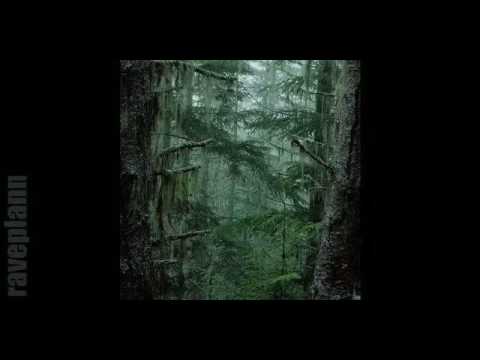 Dark forest - Deidriim - Tales Of Mist And Cold 2 12 2016 Wicked Winter Waltz