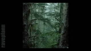 Dark forest - Deidriim - Tales Of Mist And Cold 2 12 2016 Wicked Winter Waltz