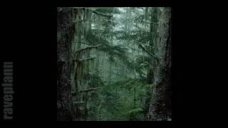 Dark forest - Deidriim - Tales Of Mist And Cold 2 12 2016 Wicked Winter Waltz