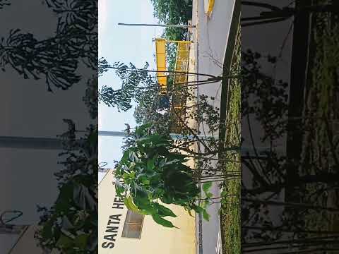 fernandopolis Sao Paulo 🙏🙏saludo Paraguay 🙏🙏🙏