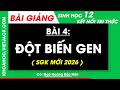 Bài giảng Sinh học 12 Bài 4. Đột biến gene