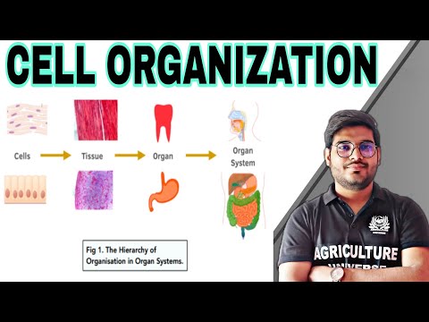 what is Crop physiology crop physiology kya hai crop physiology bsc ag second semester