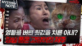 Download lagu [미스터리 노트] 영물을 버린 죗값을 치른 아내? 앙심 품은 고양이의 저주｜#미스터리노트 MBC980710방송 mp3