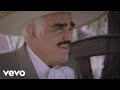 Vicente Fernández - Rayito de Sol