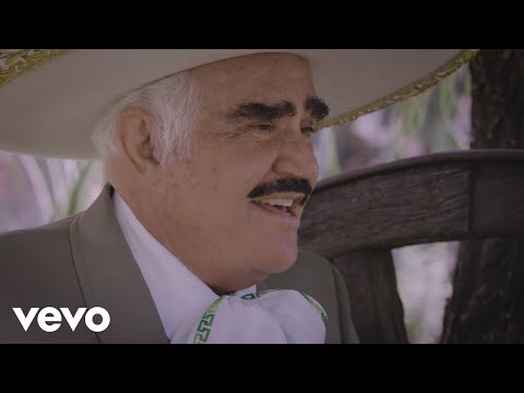 Rayito de Sol - Vicente Fernández