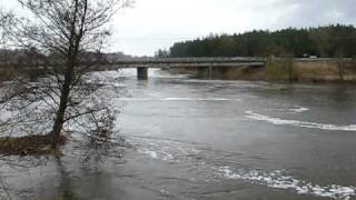 preview picture of video 'Potvynis, upė Šventoji, Kavarskas, Aukštaitija 2010 pavasaris'