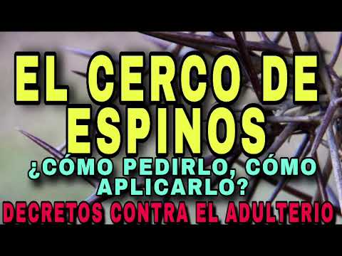 ADULTERIO: EL CERCO DE ESPINOS PARA DETENER SUS IMPULSOS Y FRENAR SU LUJURIA. HÉCTOR ALVARADO.