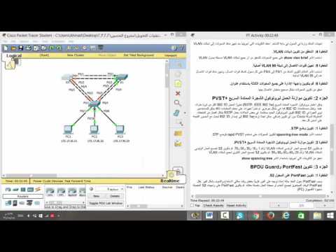 Configuring Rapid PVST+ 2.3.2.2