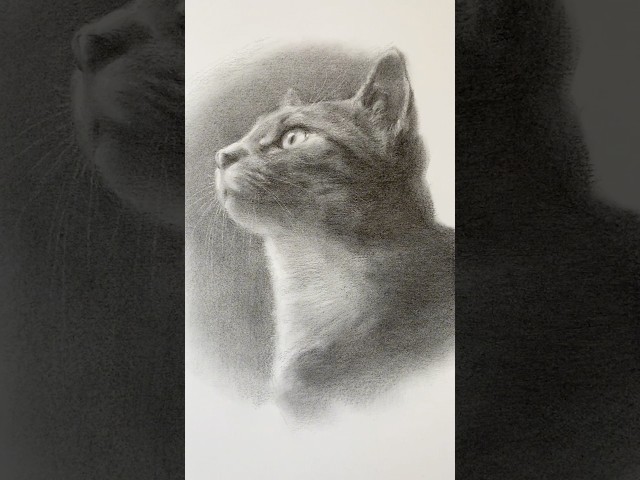 Vídeo relacionado con Lypumso Juegos de Lapices de Dibujo, 33pcs Set Carboncillo de Dibujo Profesional del Artista, Kit de Arte Lapices de Carbón Boceto Carboncillos para Artista Principiante