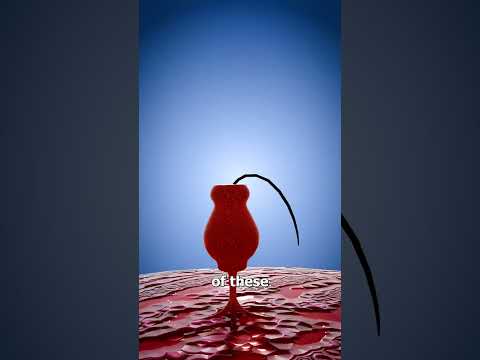 How Loud Earbuds Can Damage Your Ears 😯