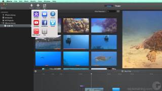 Learning iMovie 17: Sharing Your Project