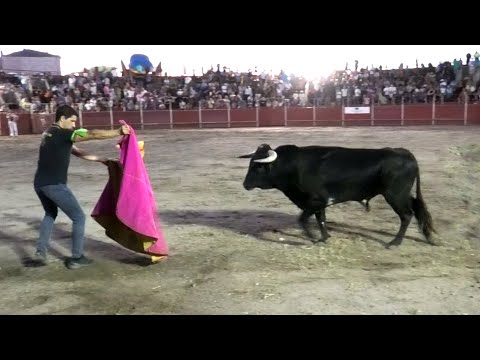 Tudela de Duero 2023 Concuros con Toros Bravos