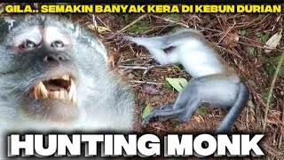 Download lagu BANYAK‼️TEMBAK KERA LIAR ☠️ episode KEBUN DURIAN‼️peascontrol🔥monkey hunting // berburu monyet mp3 Download lagu BANYAK‼️TEMBAK KERA LIAR ☠️ episode KEBUN DURIAN‼️peascontrol🔥monkey hunting // berburu monyet mp3