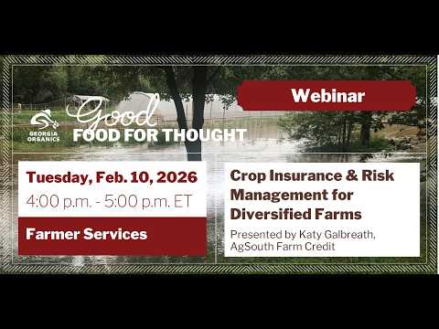 Agricultural Insurance Economics: Risk Management in the Fields