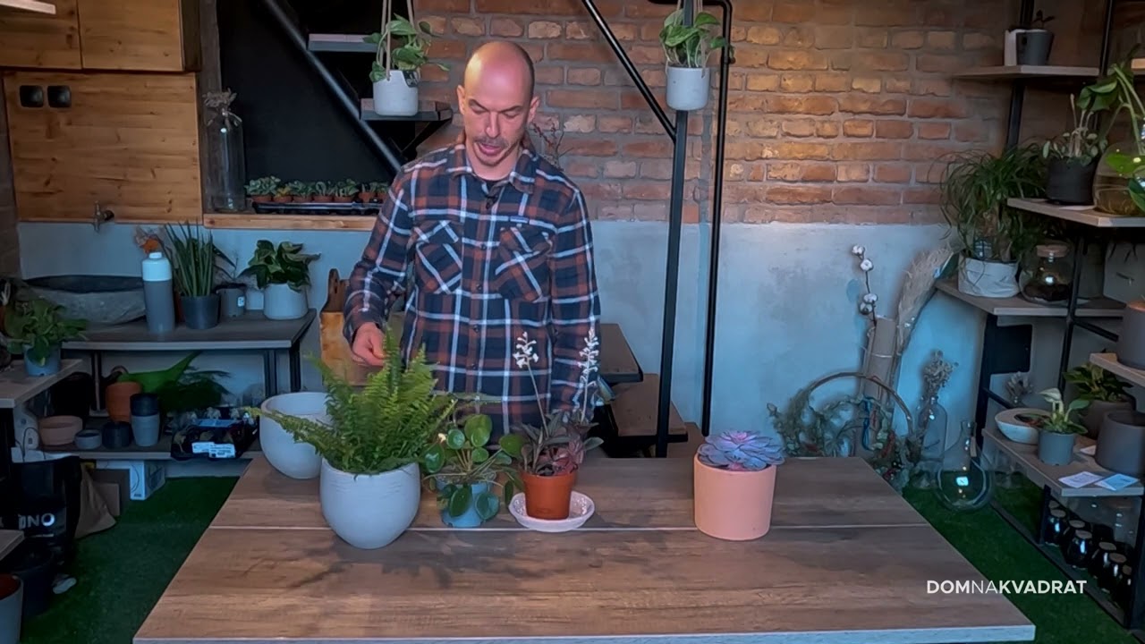 Vodič za početnike - tri osnovna savjeta kod uzgoja biljaka