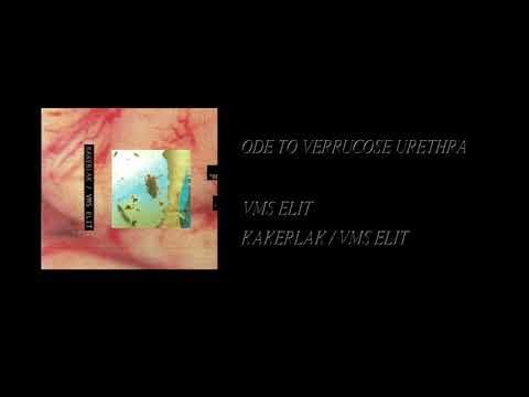 Kakerlak / VMS Elit - Kakerlak / VMS Elit [Full Cassette Rip]