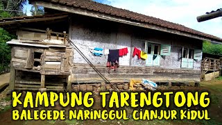 Download lagu Suasana pagi di kampung tarengtong balegede naringgul cianjur Kidul mp3 Download lagu Suasana pagi di kampung tarengtong balegede naringgul cianjur Kidul mp3