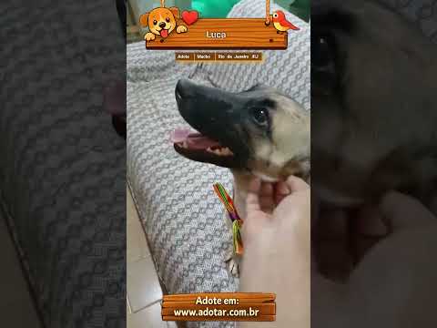 Vídeo de Luca