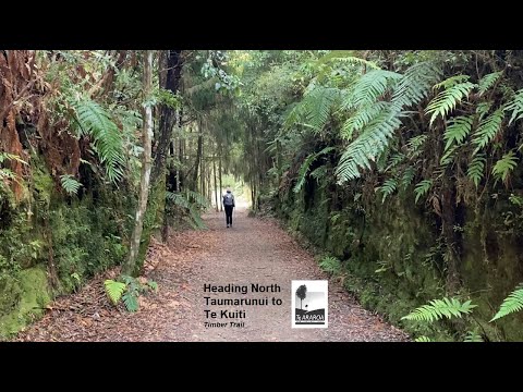 HEADING NORTH : Ep 3 - Season 2 (NOBO on Te Araroa '23)