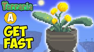 Terraria how to get DAYBLOOM (5 WAYS) (EASY) | Terraria 1.4.4.9 Daybloom