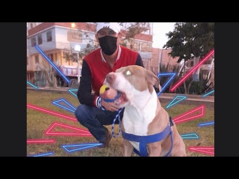 Lo sacamos al parque a Homs🐶🐾🌳🌲🐕‍🦺