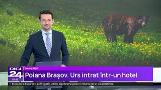 Panică în Poiana Brașov: un urs a intrat într-un hotel