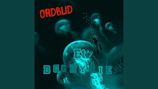 Et Bryggeri Music Video