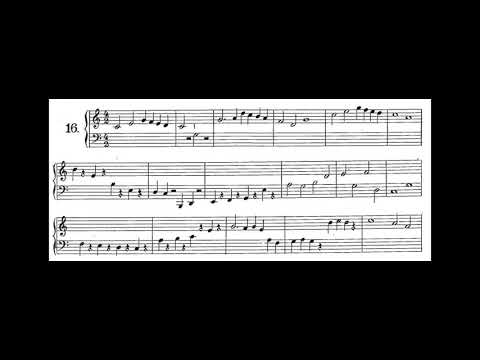 Nerina Poltronieri - Primo Corso - Esercizio N. 16