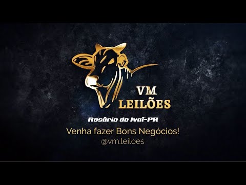 Leilão de Gado Geral - VM LEILÕES -  10 de SETEMBRO 2026 / Rosário do Ivaí-PR