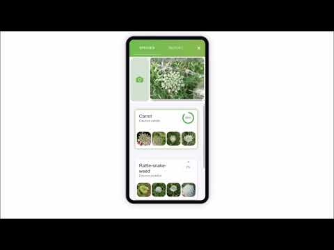 E-Surveyor Video