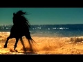 Небесная сказка о арабской девушке и коне.Красивая музыка 