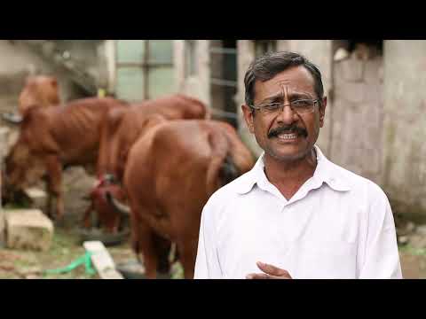 BAIF | Wings of Change | Hindi | 2025