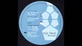 Yusuf & Loveys (Born Again) 1997