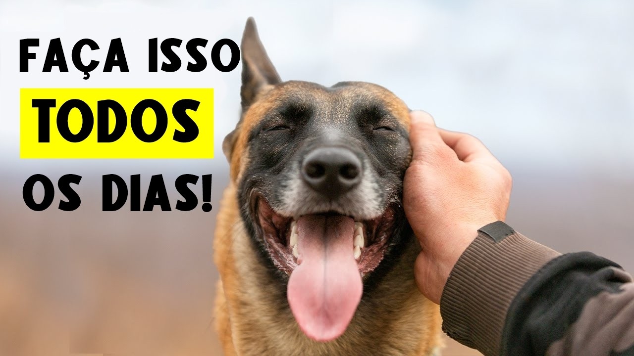 10 Segredos que TRANSFORMAM a vida dos cachorros!  (Você não vai acreditar no #8)