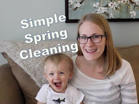 Simple Spring Cleaning System!
