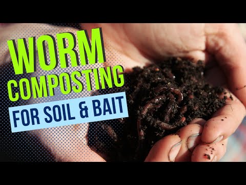 Worm Compost for use as Bait and for Starting Plants.