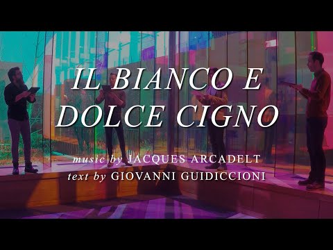 CANTUS: Il bianco e dolce cigno by Jacques Arcadelt