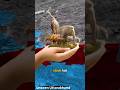 Unseen Uttarakhand Uttarakhand Meditation Chardham Trending Ganga Travel Himalayantrip