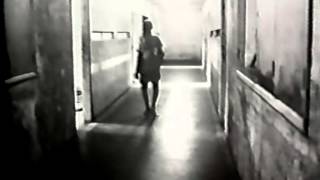 O Príncipe de Fogo: Silvio Da-Rin