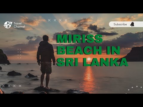 * Miriss beach in sri lanka  . It is very beautiful  palace in sri lanka # travaling# #with# sahan #