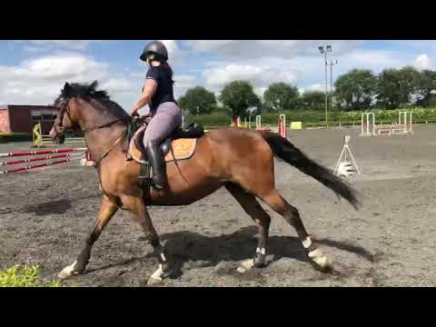 Billy Image winning 1m 19th July 2020