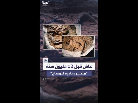 فيديو | اكتشاف متحجرة نادرة لتمساح غاريال تعود إلى نحو 12 مليون سنة