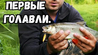 Река нара рыбалка весной