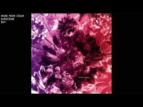 Cesar Merveille - FK