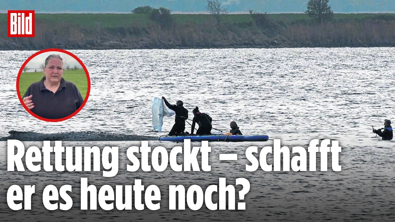 BILD VOR ORT BEIM BUCKELWAL: So reagiert Timmy auf die Rettungsaktion