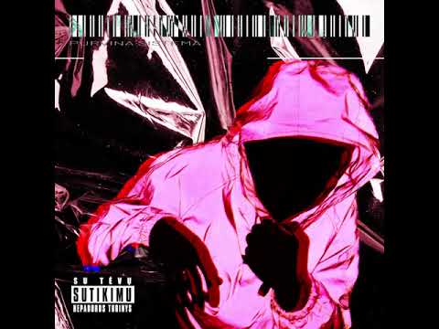 DM5 - PURVINA SISTEMA